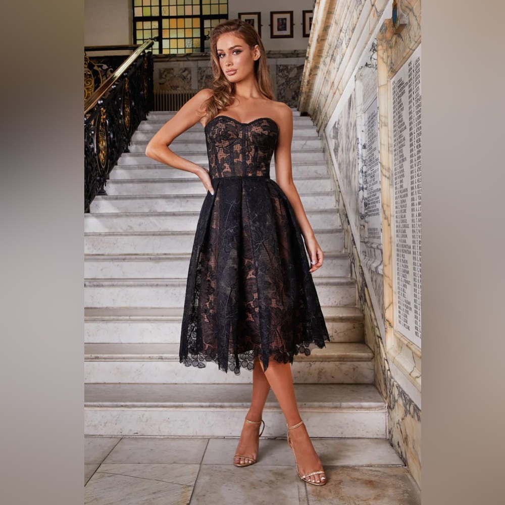 NWOT Nadine Merabi black/nude Olivia dress corseted embroidered lace - Picture 2 of 13